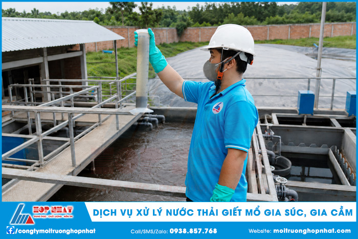 Dịch vụ xử lý nước thải giết mổ gia súc gia cầm