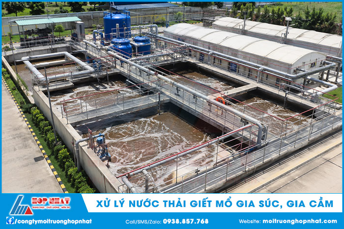 Xử lý nước thải giết mổ gia súc, gia cầm